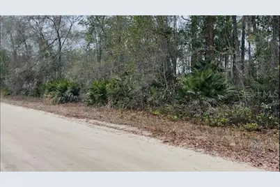 Sharon Street, Interlachen, FL 32148 - Photo 1