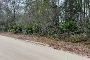 Sharon St, Interlachen, FL 32148 - Photo 1