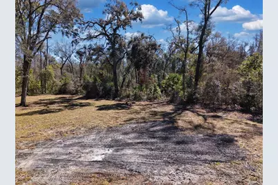 4912 NE Highway 349, Old Town, FL 32680 - Photo 6