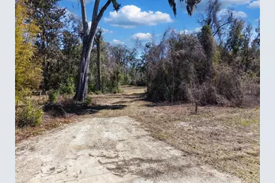 4912 NE Highway 349, Old Town, FL 32680 - Photo 4