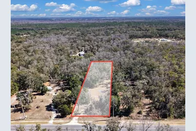 4912 NE Highway 349, Old Town, FL 32680 - Photo 2