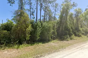 3139 SW Mauldin Ave, Lake City, FL 32024 - Photo 1