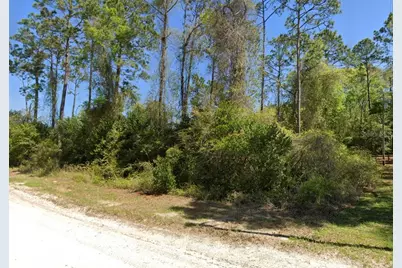 3139 SW Mauldin Avenue, Lake City, FL 32024 - Photo 2