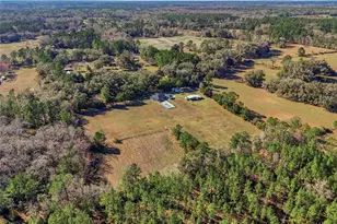 15629 NW Co Rd 231, Gainesville, FL 32609 - Photo 38