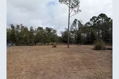 13510 N Gulf Manor, Perry, FL 32348 - Photo 24