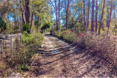 383 NE 355th Avenue, Old Town, FL 32680 - Photo 20