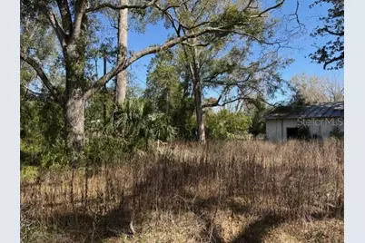 1219 N Paris Street, Bell, FL 32619 - Photo 4