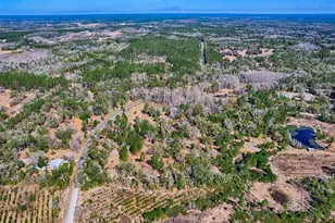 5851 NE 77th Ave, Bronson, FL 32621 - Photo 38