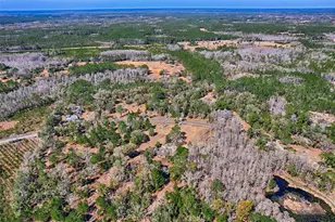 5851 NE 77th Ave, Bronson, FL 32621 - Photo 36