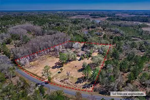 5851 NE 77th Ave, Bronson, FL 32621 - Photo 30