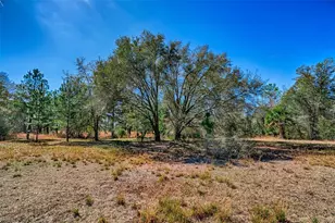 5851 NE 77th Ave, Bronson, FL 32621 - Photo 28