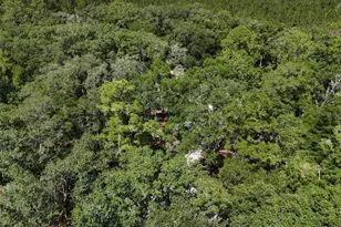 6970 NE 74th St, Gainesville, FL 32609 - Photo 38