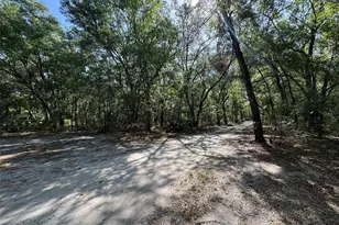 6970 NE 74th St, Gainesville, FL 32609 - Photo 32