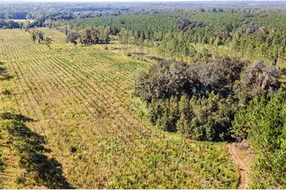 21400 NW County Road 235A, Alachua, FL 32615 - Photo 16