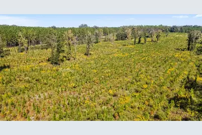 21400 NW County Road 235A, Alachua, FL 32615 - Photo 18