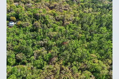 8856 NW 230th Street, Micanopy, FL 32667 - Photo 32