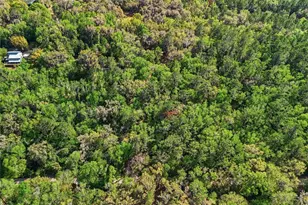 8856 NW 230th St, Micanopy, FL 32667 - Photo 32