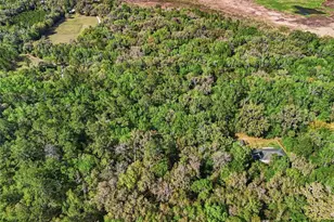 8856 NW 230th St, Micanopy, FL 32667 - Photo 30