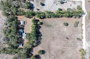 609 NW 96th Pl, Branford, FL 32008 - Photo 12