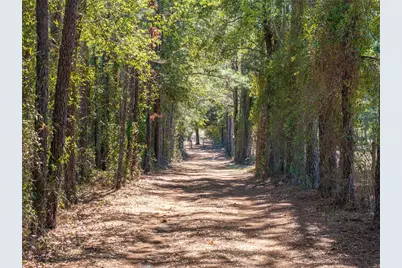 609 NW 96th Place, Branford, FL 32008 - Photo 2