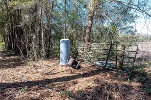 609 NW 96th Pl, Branford, FL 32008 - Photo 18