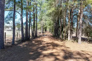 609 NW 96th Pl, Branford, FL 32008 - Photo 40