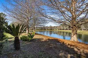 4910 NW 81st Ave, Gainesville, FL 32653 - Photo 36