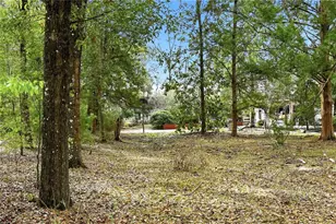 22215 135th Ct, O'Brien, FL 32071 - Photo 38