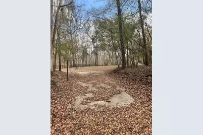 1859 NW 82nd Terrace, Bell, FL 32619 - Photo 24