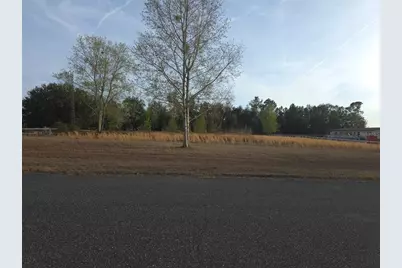 Se 100 Place, Trenton, FL 32693 - Photo 6