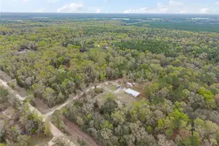 2610 NE 80th Ave, High Springs, FL 32643 - Photo 38