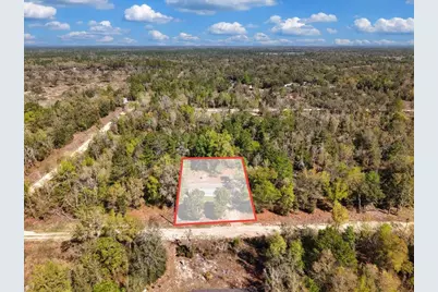 11061 NE 65th Lane, Williston, FL 32696 - Photo 28