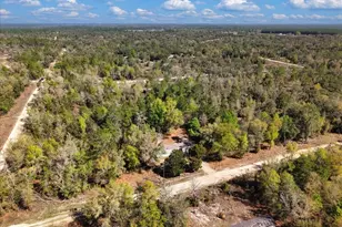 11061 NE 65 Ln, Williston, FL 32696 - Photo 24