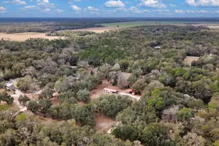 12290 NW 85th Ave, Chiefland, FL 32626 - Photo 36