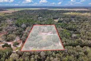 12290 NW 85th Ave, Chiefland, FL 32626 - Photo 34