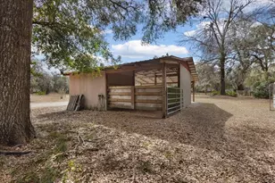 12290 NW 85th Ave, Chiefland, FL 32626 - Photo 28