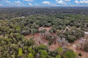 12290 NW 85th Ave, Chiefland, FL 32626 - Photo 38