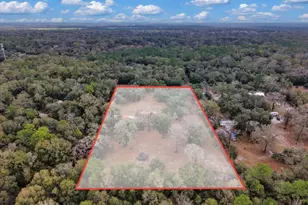 12290 NW 85th Ave, Chiefland, FL 32626 - Photo 32