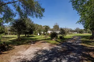 25228 NW 158 Ave, High Springs, FL 32643 - Photo 4