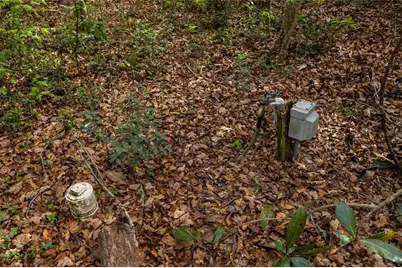 1187 SW Boston Terrace, Fort White, FL 32038 - Photo 12