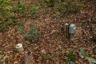 1187 SW Boston Terrace, Fort White, FL 32038 - Photo 12