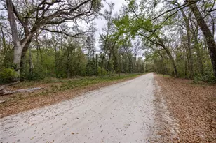 1187 SW Boston Terrace, Fort White, FL 32038 - Photo 20