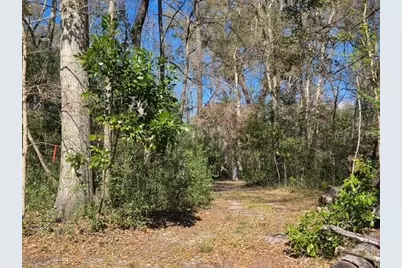 1187 SW Boston Terrace, Fort White, FL 32038 - Photo 8