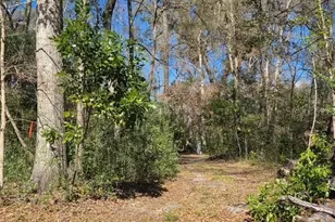 1187 SW Boston Terrace, Fort White, FL 32038 - Photo 8