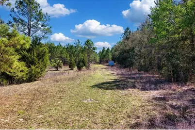 000 NW 60th Ave, Chiefland, FL 32626 - Photo 6