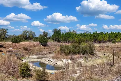 000 NW 60th Ave, Chiefland, FL 32626 - Photo 8