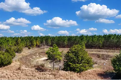 000 NW 60th Ave, Chiefland, FL 32626 - Photo 2