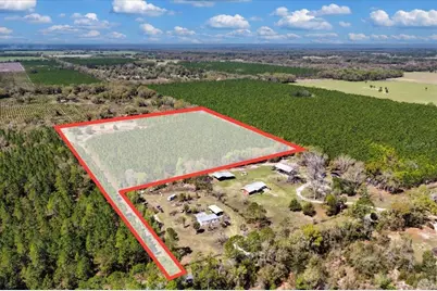 000 NW 60th Ave, Chiefland, FL 32626 - Photo 4