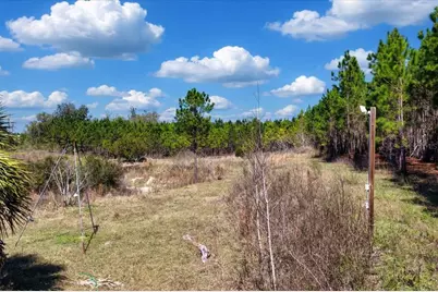 000 NW 60th Ave, Chiefland, FL 32626 - Photo 10