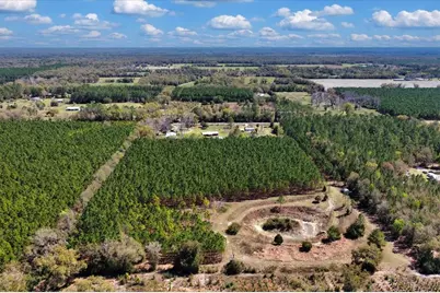 000 NW 60th Ave, Chiefland, FL 32626 - Photo 20